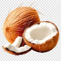 Coco - Imagem ilustrativa