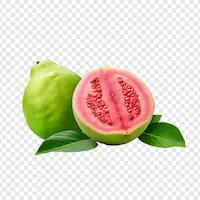 Goiaba - Imagem ilustrativa