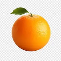 Laranja - Imagem ilustrativa